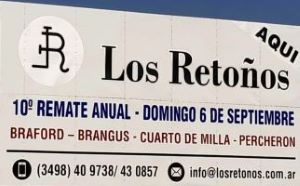 10 Remate Anual Los Retoos