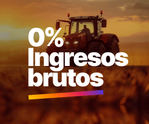 Ingresos brutos - noviembre 2025