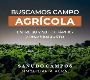 saudo busca