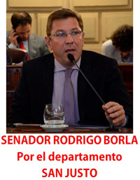 SENADOR BORLA MAYO 2020